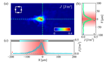 Crack tip kinematics reveal the process zone structure in brittle hydrogel fracture