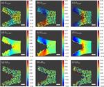 Estimation of the Deformation Gradient Tensor by Particle Tracking Near a Free Boundary with Quantified Error